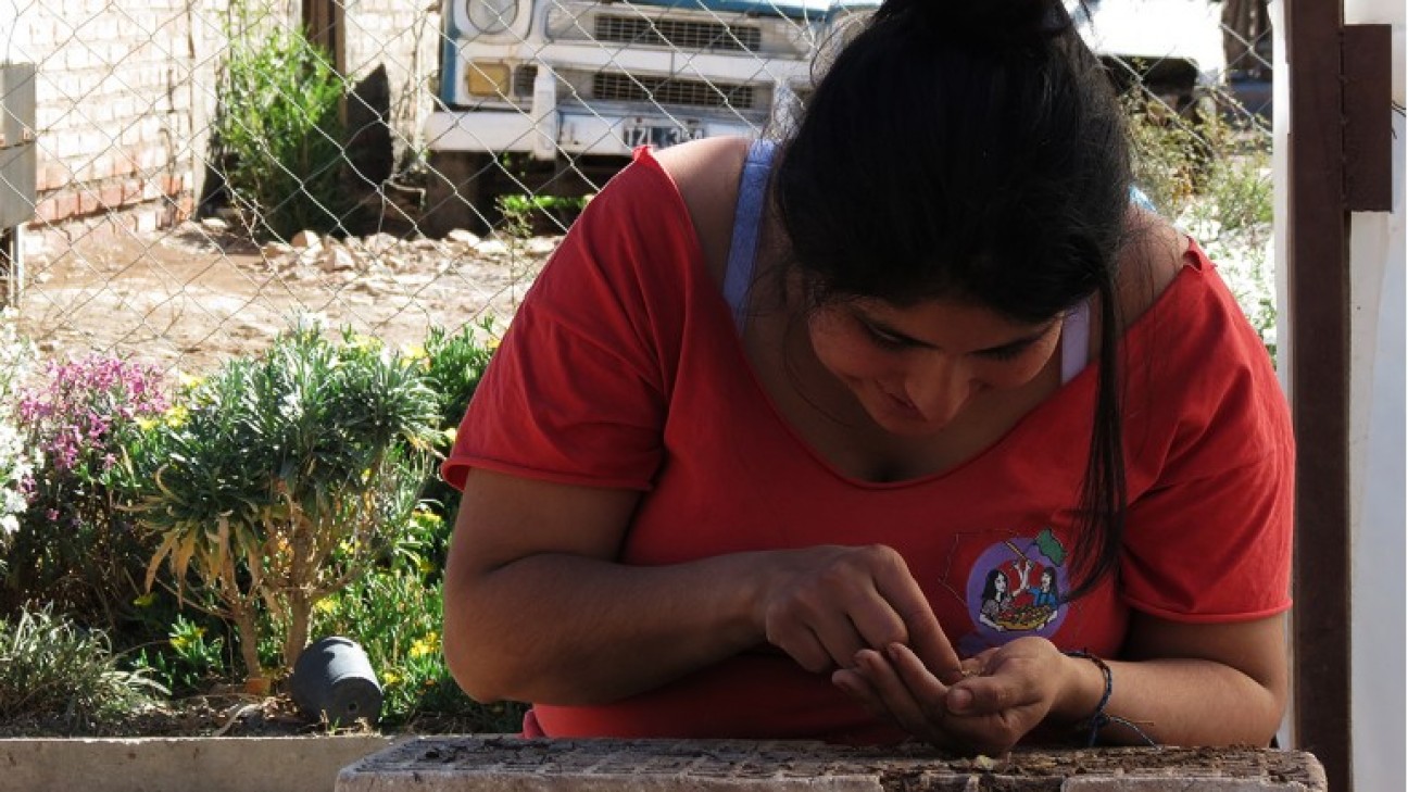 imagen En camino hacia la agroecología