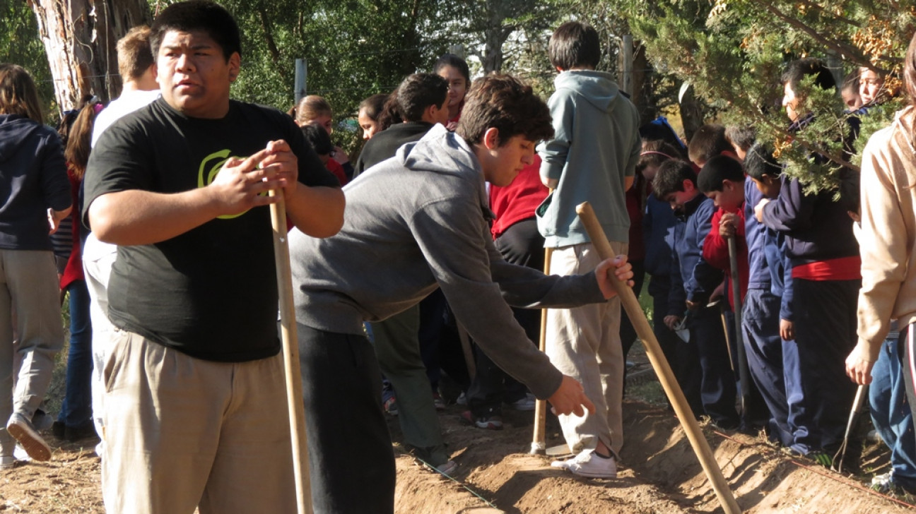 imagen La UNCUYO promueve las Prácticas Sociales Educativas