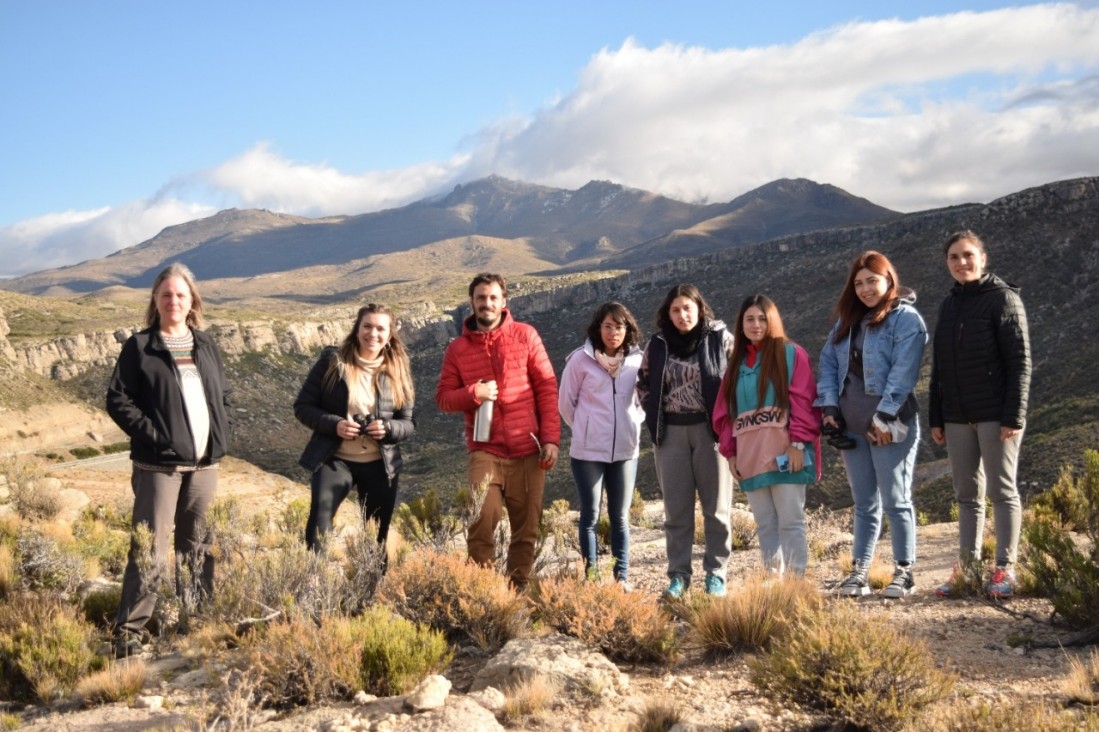 imagen Urdimbre natural en el paraje Las Loicas, Malargüe