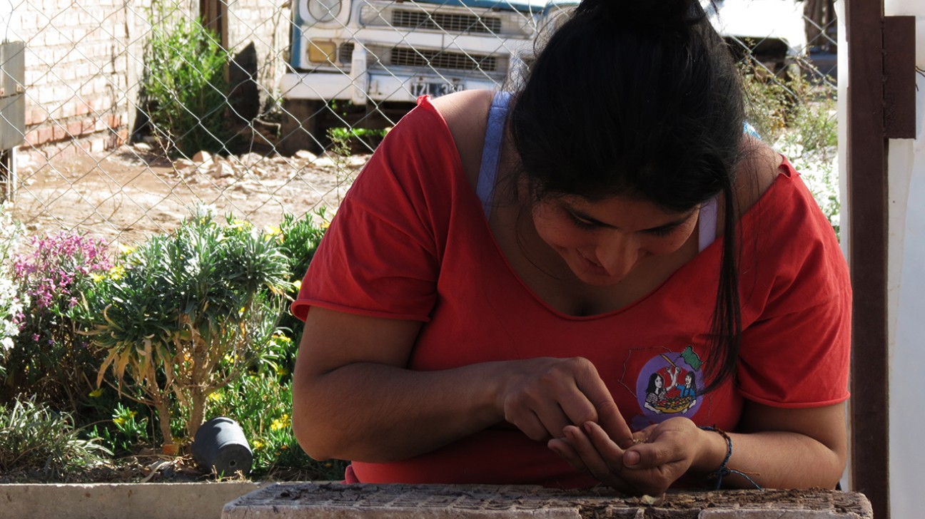 imagen En camino hacia la agroecología