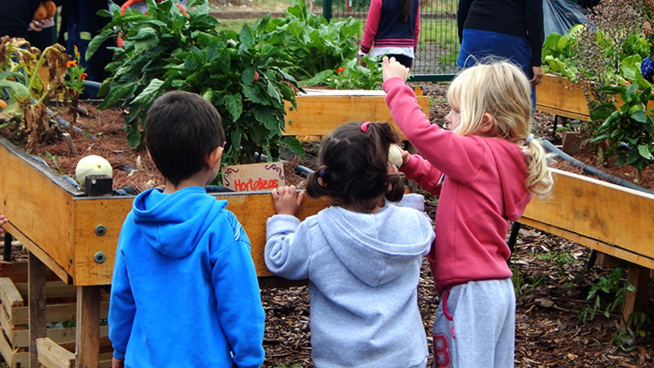 imagen Taller de huerta para hijos del personal de la UNCuyo