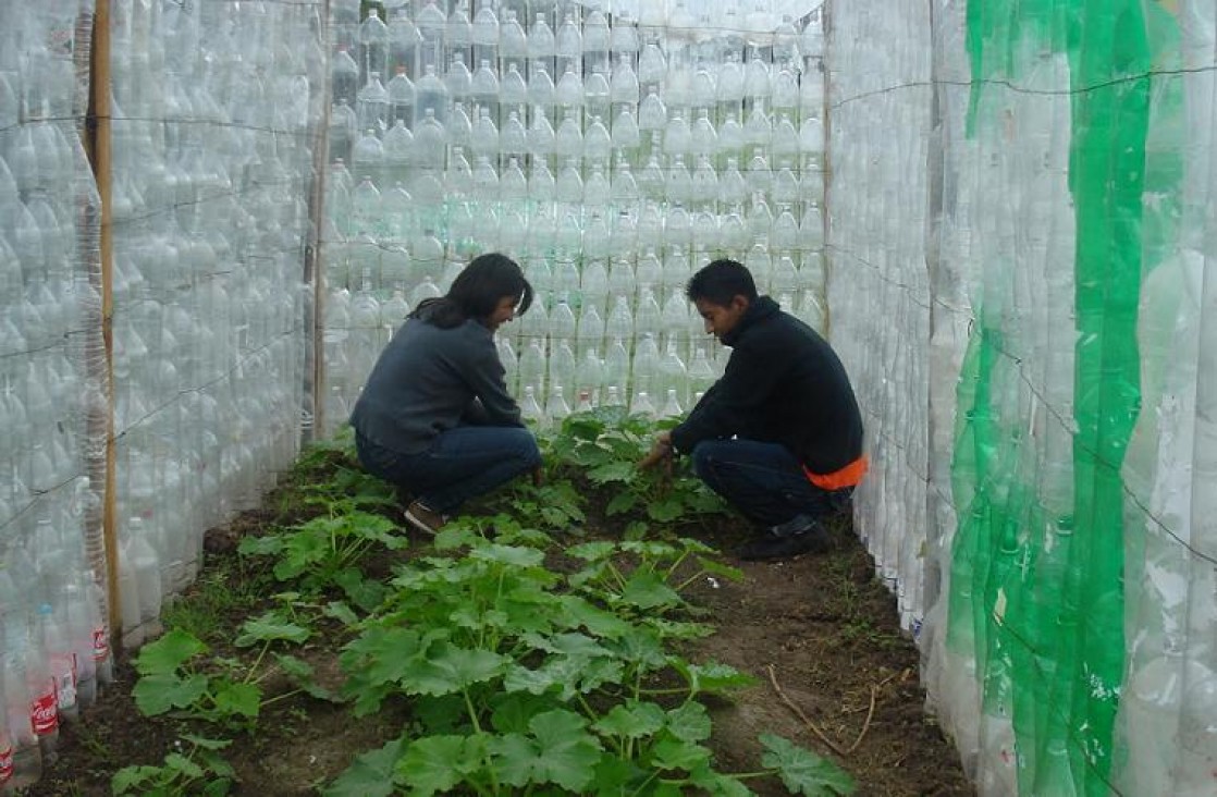 imagen Reciclado de botellas para construir invernadero en el Comedor 