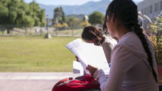 imagen Programa becas de capacitacion profesional universitaria 2024