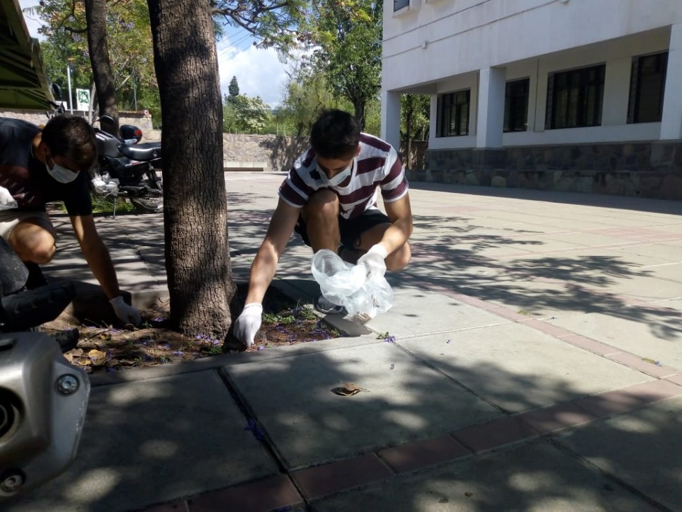 imagen Acciones por el Día Mundial sin Tabaco