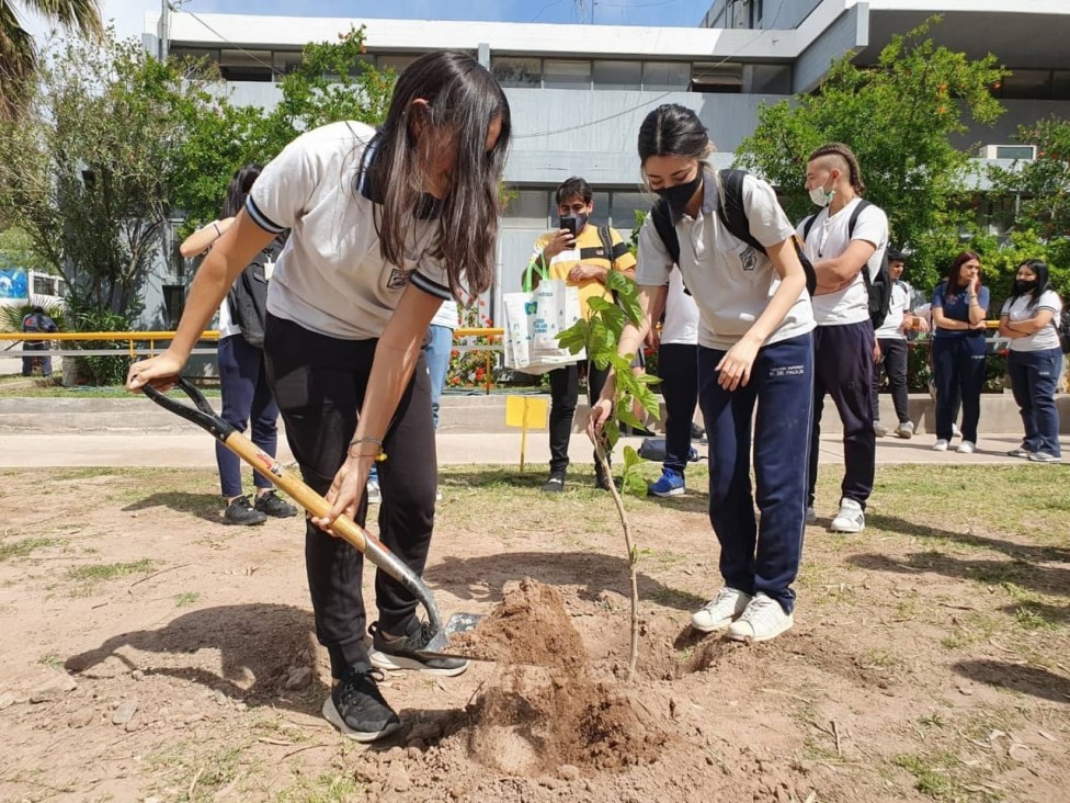 imagen Cierre de la campaña "Doná un árbol, plantá vida"