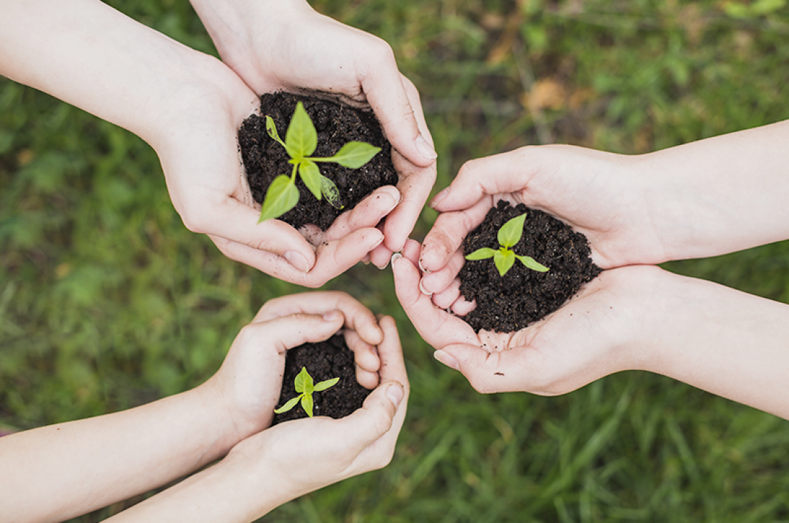 imagen Se abre la Convocatoria para el "Voluntariado Construyendo Sustentabilidad"