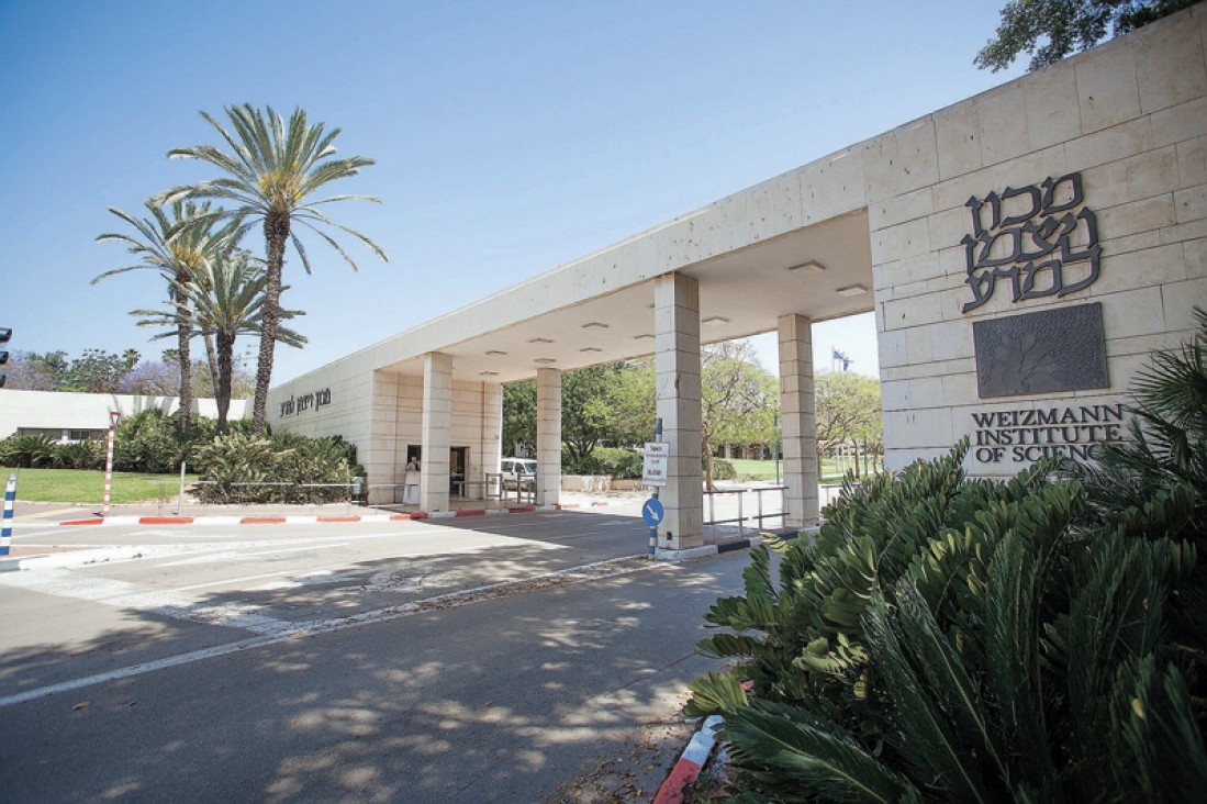 imagen Estadías de investigación en el Instituto Weizmann de Israel