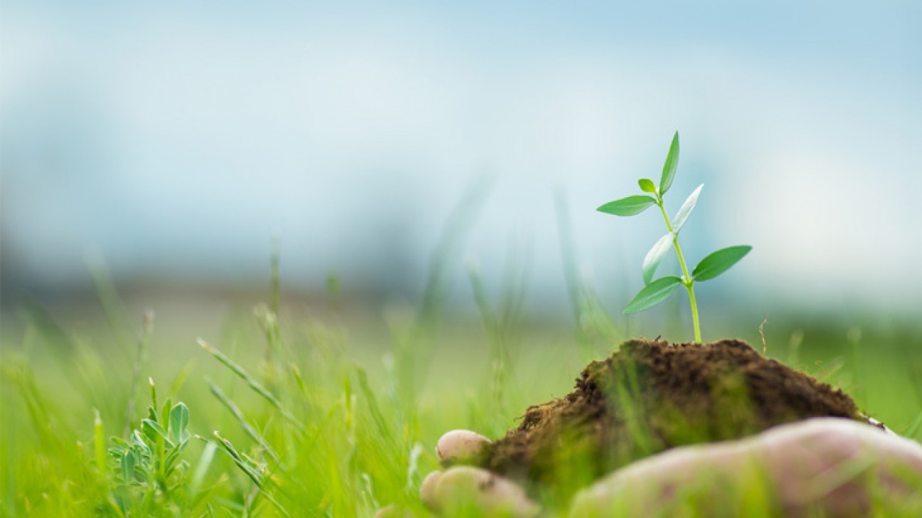 imagen Seminario Regional Cocrear Bioeconomía en Nuevo Cuyo 2024