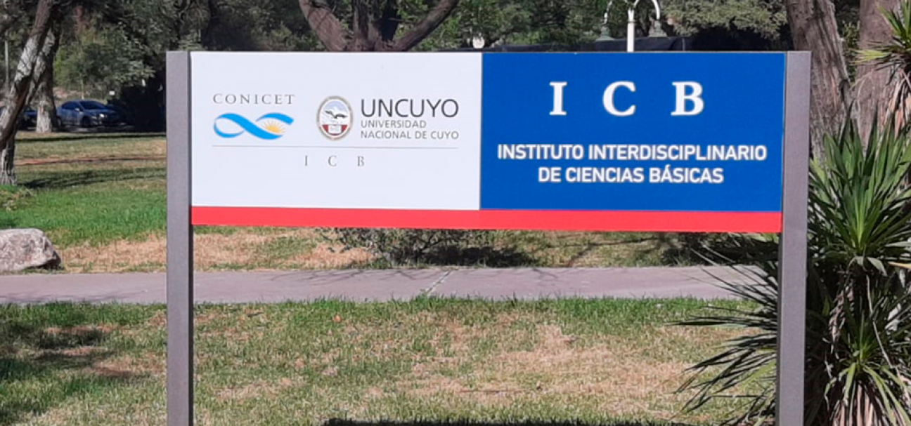 imagen Se abre concurso para director del Instituto Interdisciplinario de Ciencias Básicas