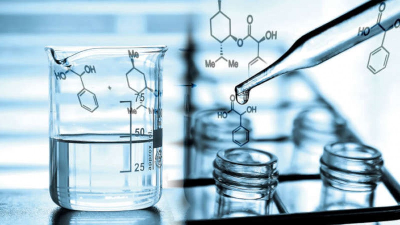 imagen Concurso abierto para Director de Instituto de Investigaciones Bioquímicas en Bahía Blanca