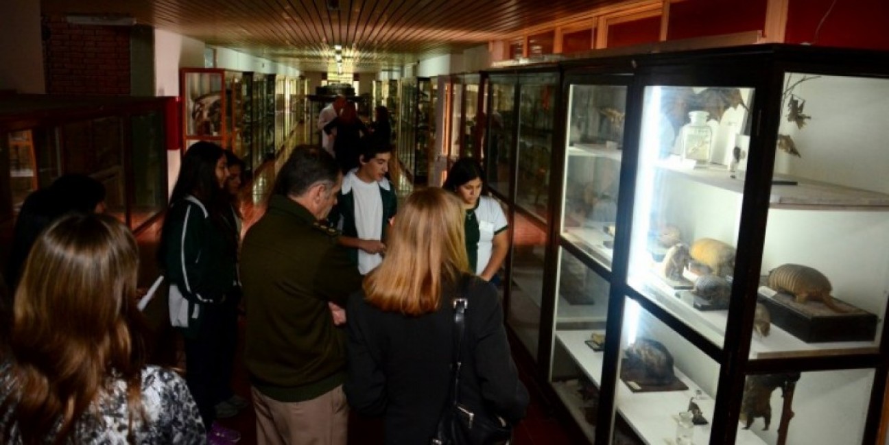 imagen La Universidad abrirá las puertas de sus museos