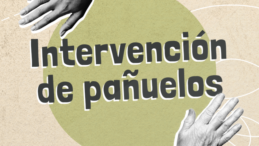 imagen Intervención de pañuelos