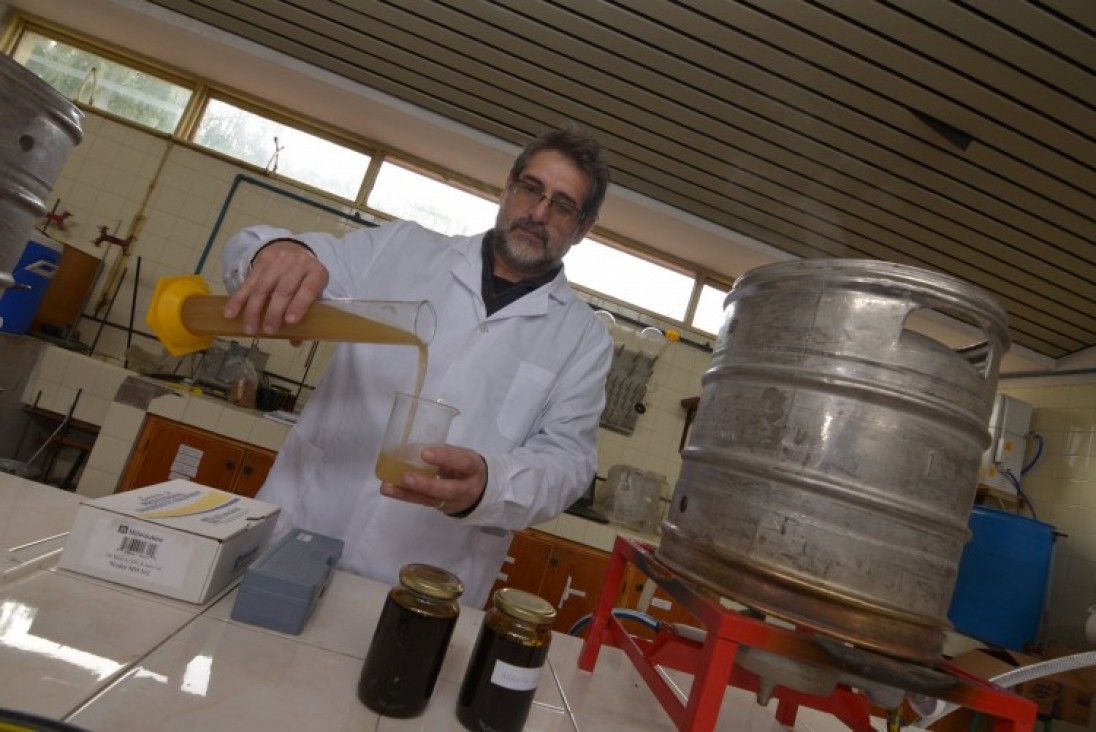 imagen ESTUDIANTES APRENDEN A ELABORAR CERVEZA ARTESANAL CON ARROPE