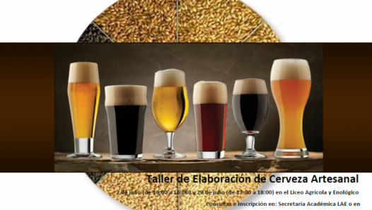 imagen TALLER DE CERVEZA ARTESANAL PARA PÚBLICO EN GENERAL