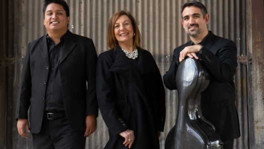 imagen El romanticismo alemán y francés se unen en un concierto para canto, cello y piano 