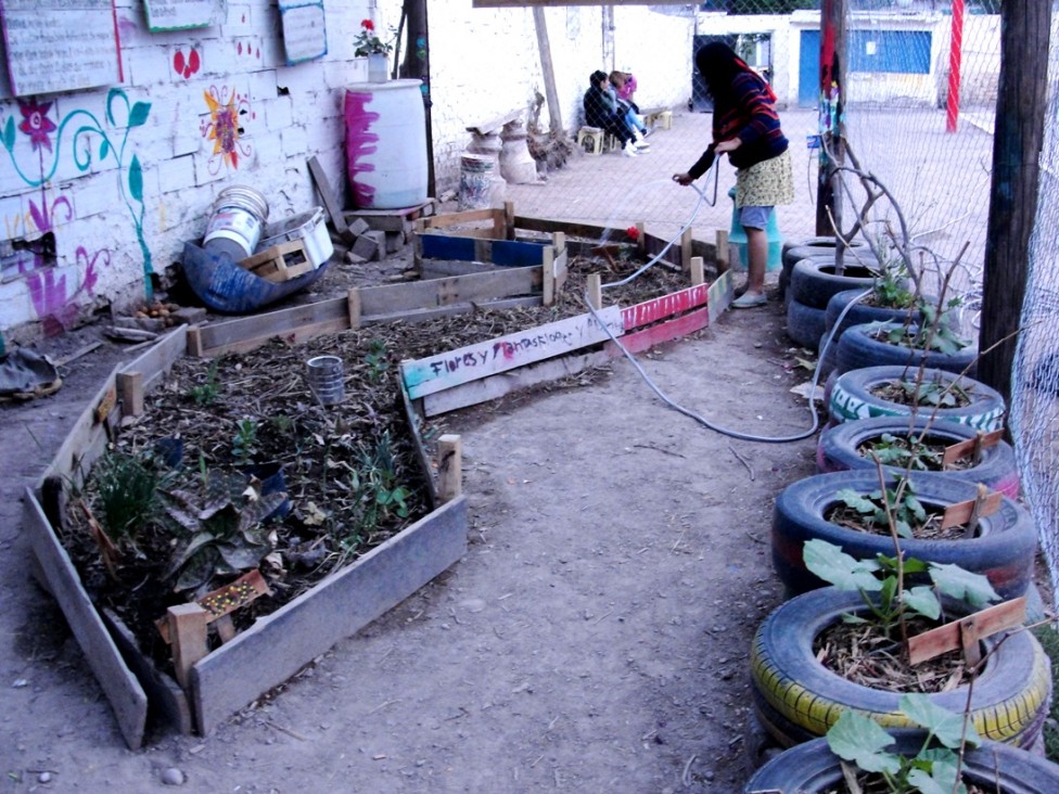 imagen Estudiantes trabajan junto a vecinos en la producción agrícola urbana