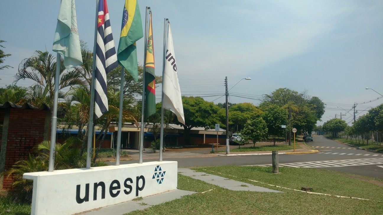 imagen El Taller de Arteterapia fue dictado en la Universidad Estadual Paulista de Brasil