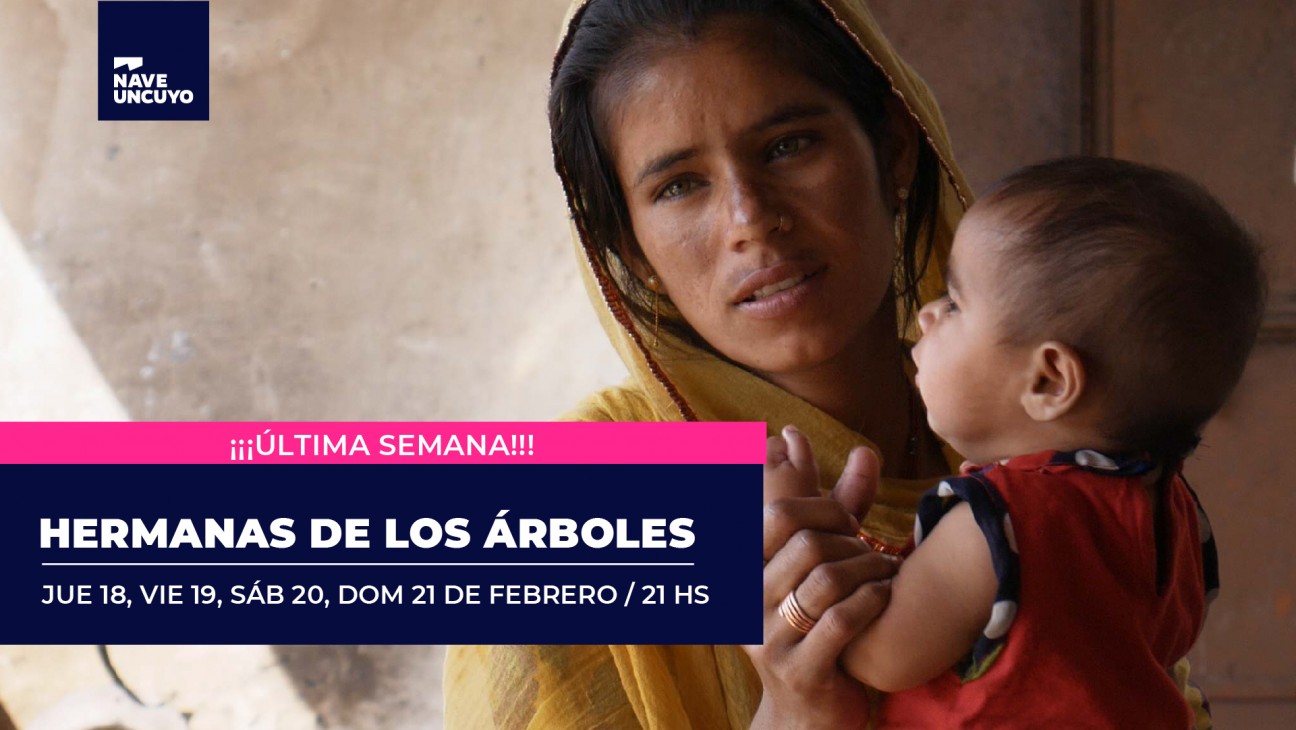 imagen Últimas funciones del documental "Hermanas de los árboles" en Cine Universidad