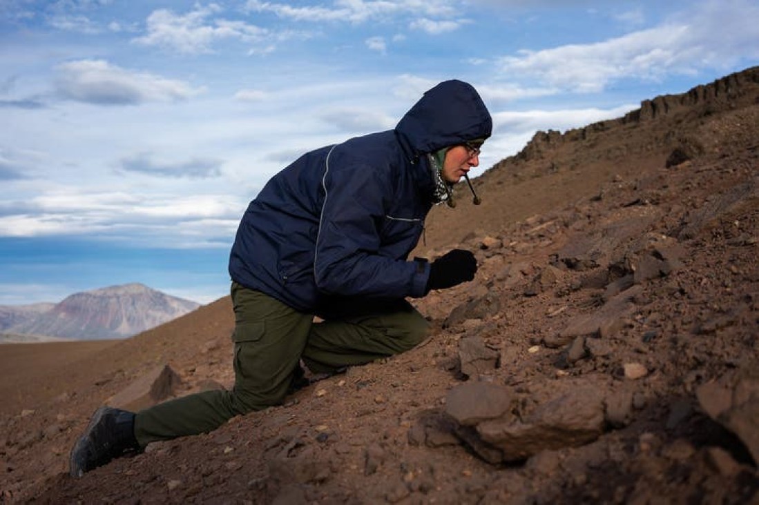 imagen Descubren un mundo fosilizado a 30 kilómetros de El Calafate