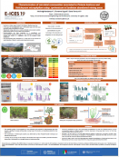 imagen CHARACTERIZATION OF MICROBIAL COMMUNITIES ASSOCIATED TO PISTACIA LENTISCUS AND HELICHRYSUM MICROPHYLLUM SUBSP. TYRRHENICUM IN SARDINIAN ABANDONED MINING AREAS