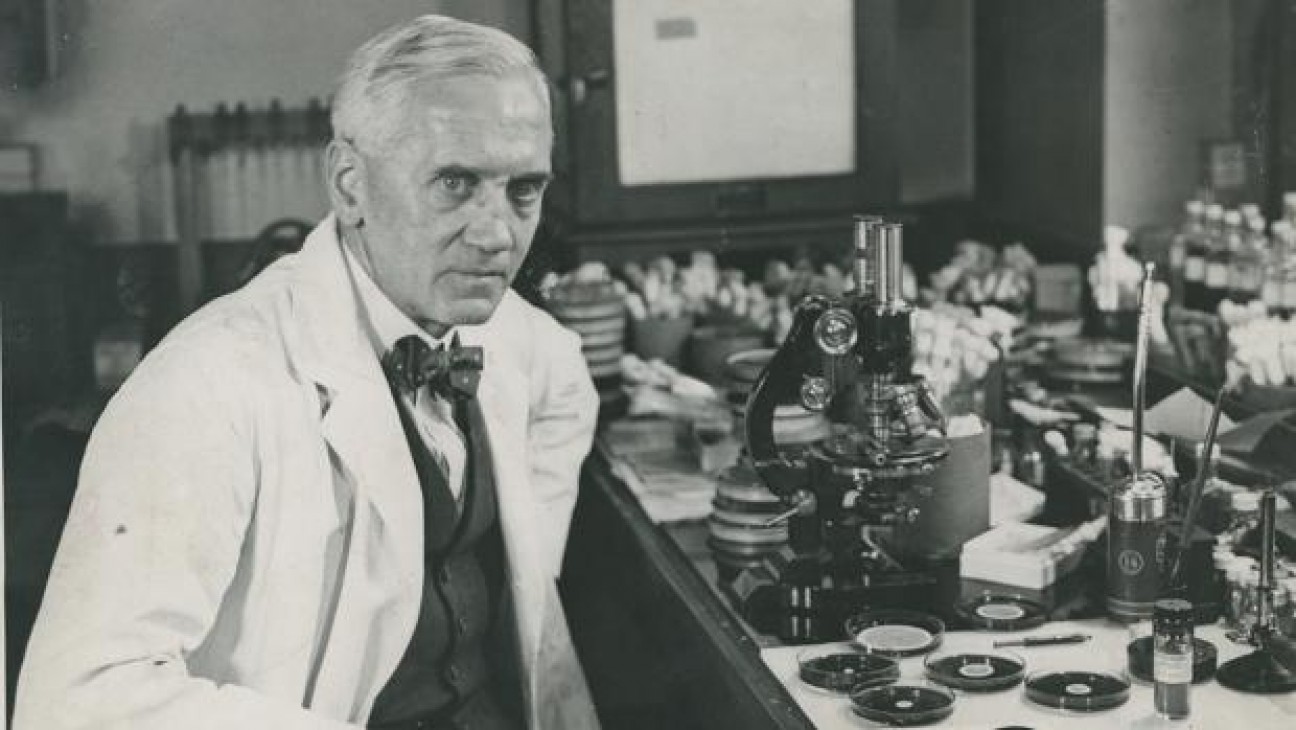 experimento de penicilina de alexander fleming