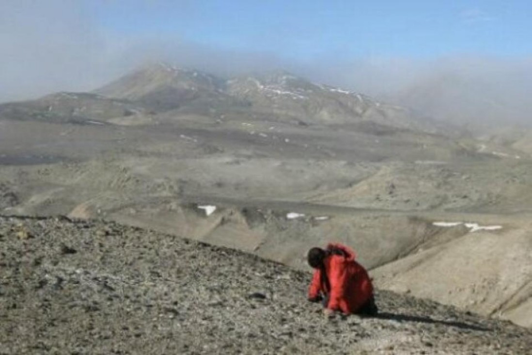 imagen Descubren que la Antártida tuvo clima cálido hace 40 millones de años