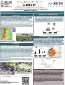 imagen ALDEAS DE ALTURA Y TECNOLOGÍA LÍTICA.RESULTADOS  PRELIMINARES DEL SITIO ARQUEOLÓGICO EL INDÍGENO, SUR  MENDOZA, ARGENTINA