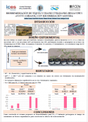 imagen BIORREMEDIACIÓN DE NÍQUEL Y URANIO UTILIZANDO HELIANTHUS  ANNUUS (GIRASOL) CON MICORRIZACIÓN ASISTIDA.