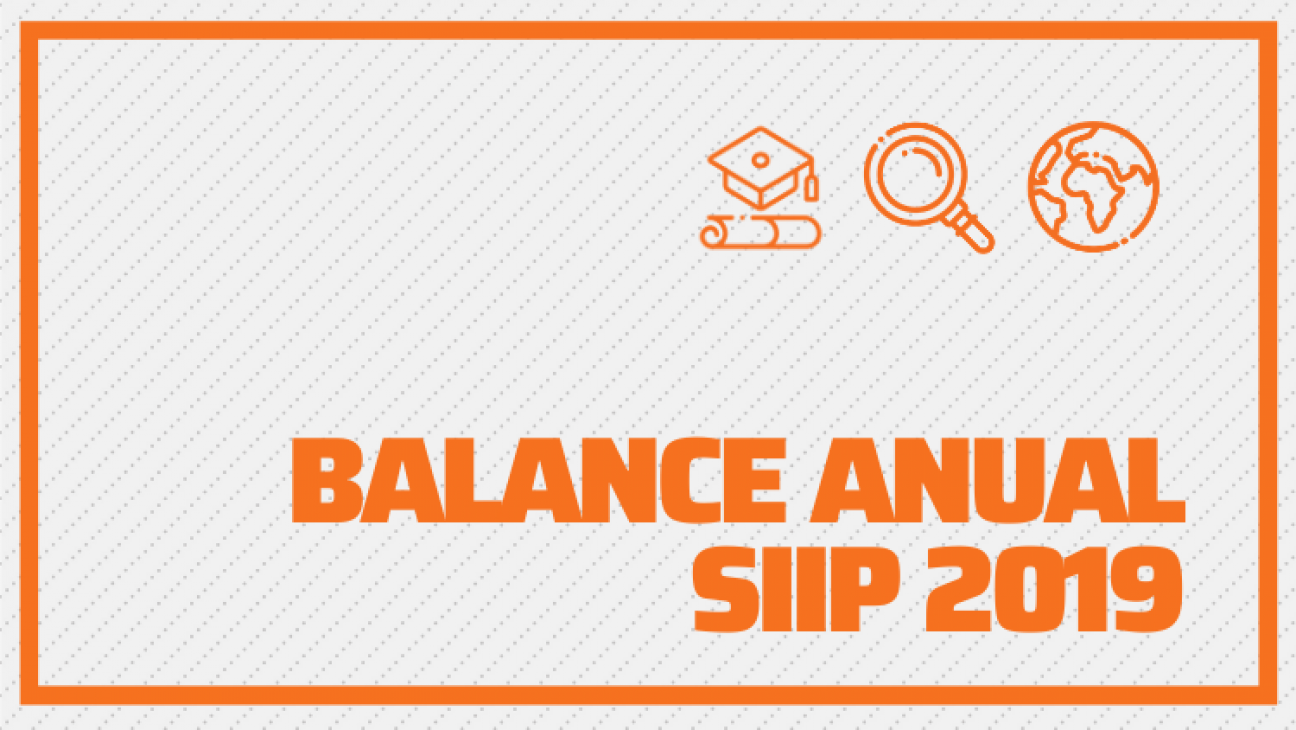 imagen Balance anual SIIP 2019