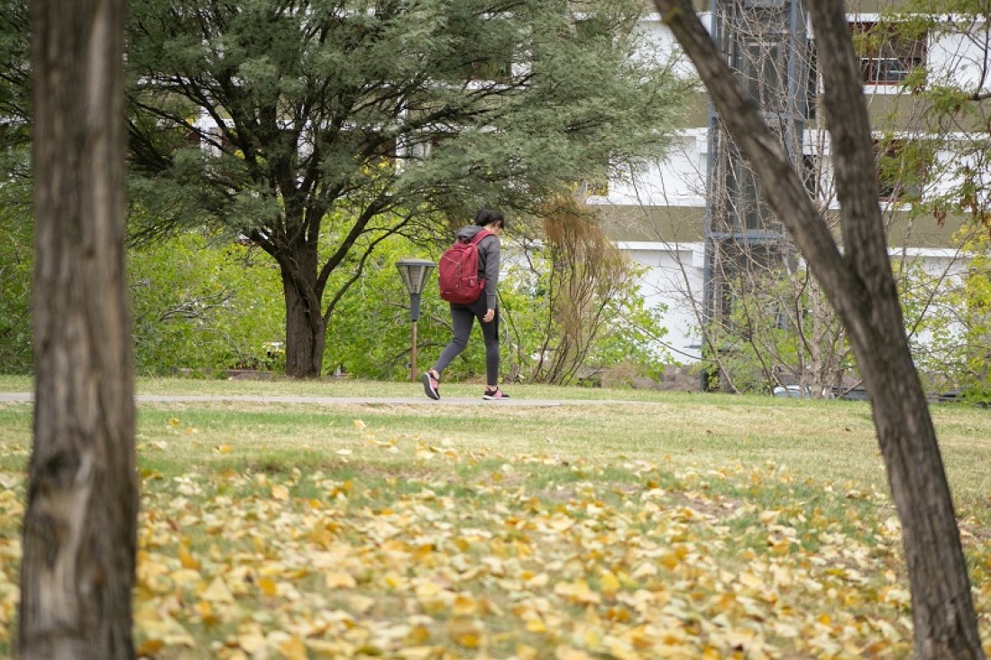 imagen La UNCUYO realizará una caminata en búsqueda del árbol perdido