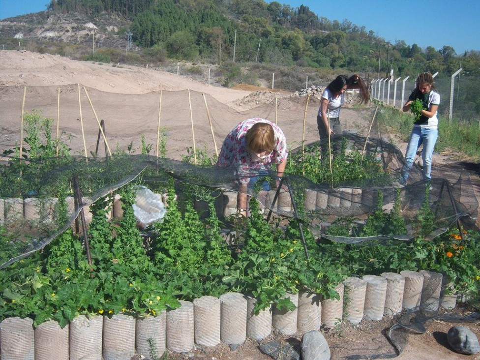 imagen Enseñan a hacer una huerta urbana agroecológica