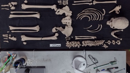 imagen Filosofía y Letras habilita un nuevo espacio para la Osteoteca de Mendoza