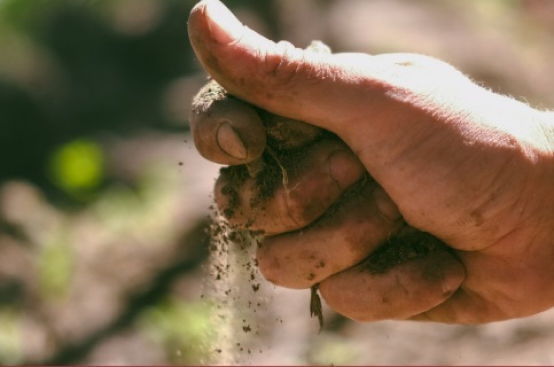 imagen La UNCUYO será sede de un encuentro que tendrá como protagonista al "terroir"