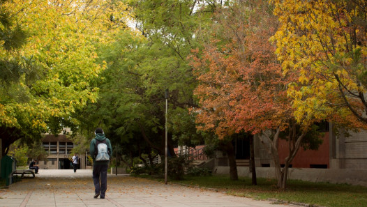 imagen Con el otoño como musa, la UNCUYO celebra el Día Mundial de la Poesía