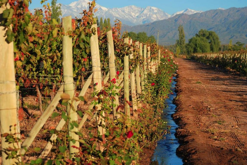 imagen Prestigioso evento internacional del terroir llega a la UNCUYO