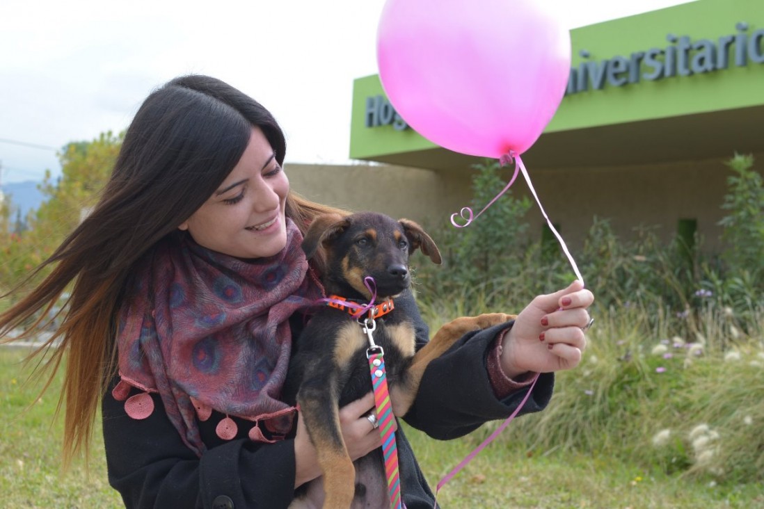 imagen La UNCuyo reafirmó su compromiso para concientizar sobre la protección animal