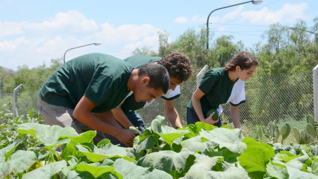 imagen Calidad educativa: el Liceo Agrícola y Enológico mantiene su certificación ISO 9001:2015 