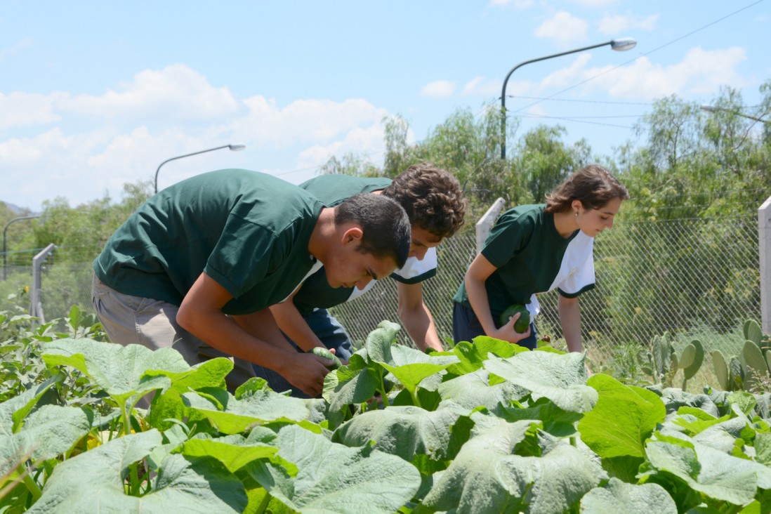 imagen Calidad educativa: el Liceo Agrícola y Enológico mantiene su certificación ISO 9001:2015 