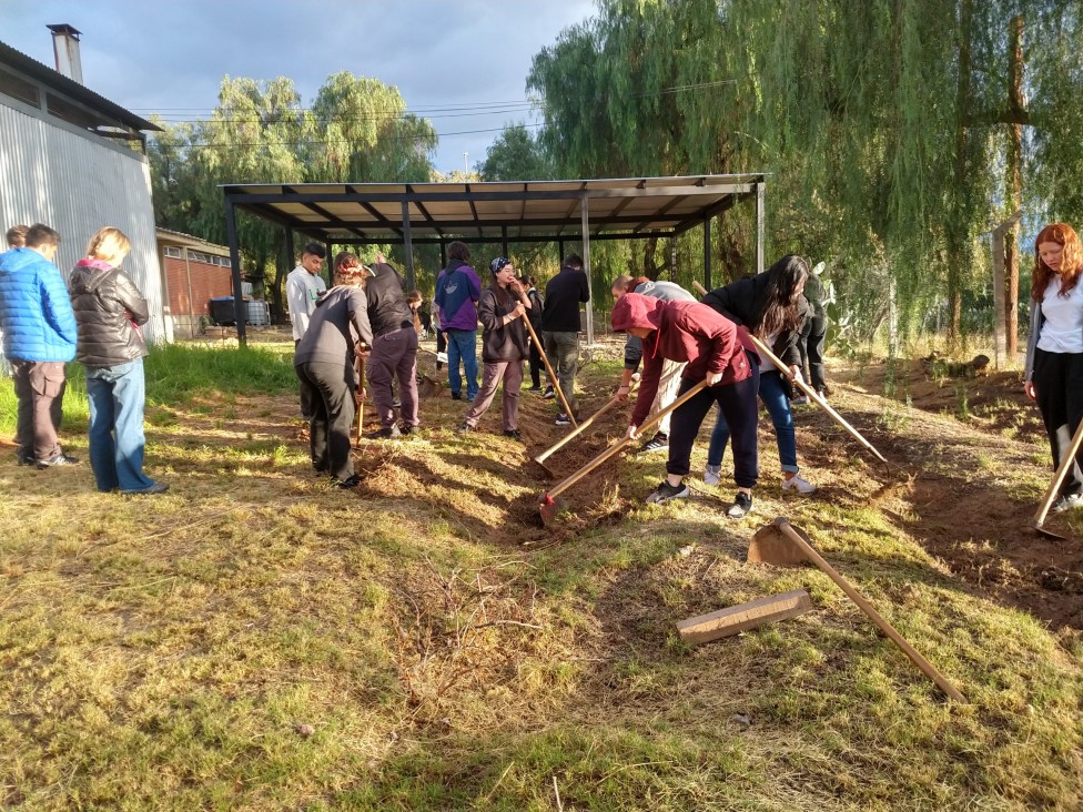 imagen El Liceo Agrícola regará sus vides y césped con aguas grises 