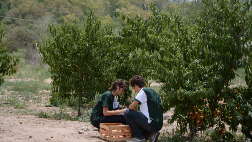 imagen que ilustra noticia Escuelas de la UNCUYO: listado de ingresantes al Liceo Agrícola y a la Escuela de Agricultura