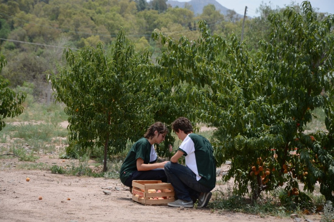 imagen Escuelas de la UNCUYO: listado de ingresantes al Liceo Agrícola y a la Escuela de Agricultura