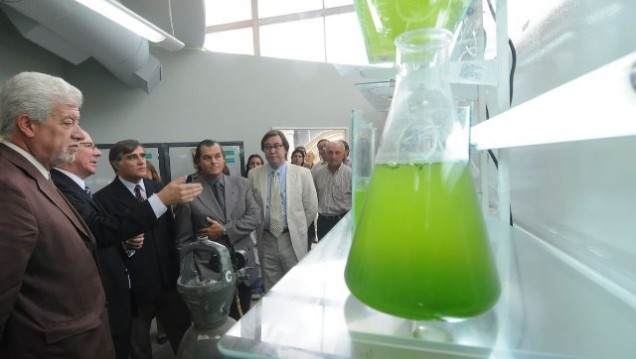 imagen Universidad y secretaría de Medio Ambiente tratarán efluentes líquidos para producir biocombustibles