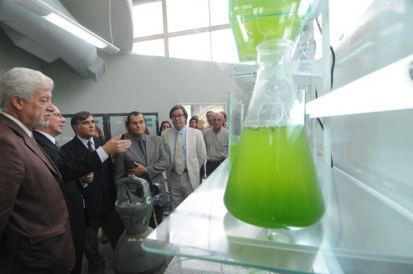 imagen Investigación tratará aguas residuales y  producirá algas para extraer biocombustible