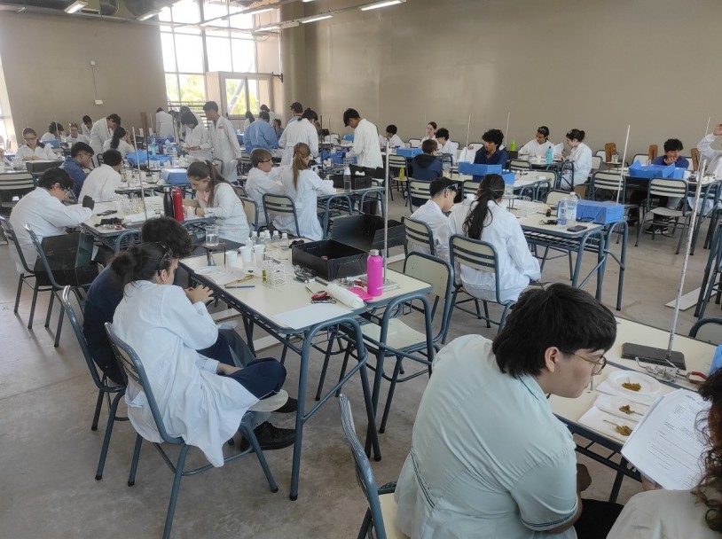 imagen La Olimpíada Argentina de Ciencias Junior está en marcha en la UNCUYO