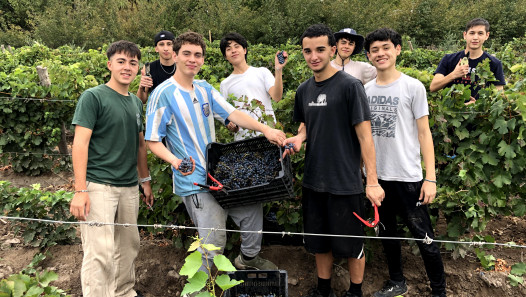 imagen El ritual de la vendimia también se vive en la UNCUYO