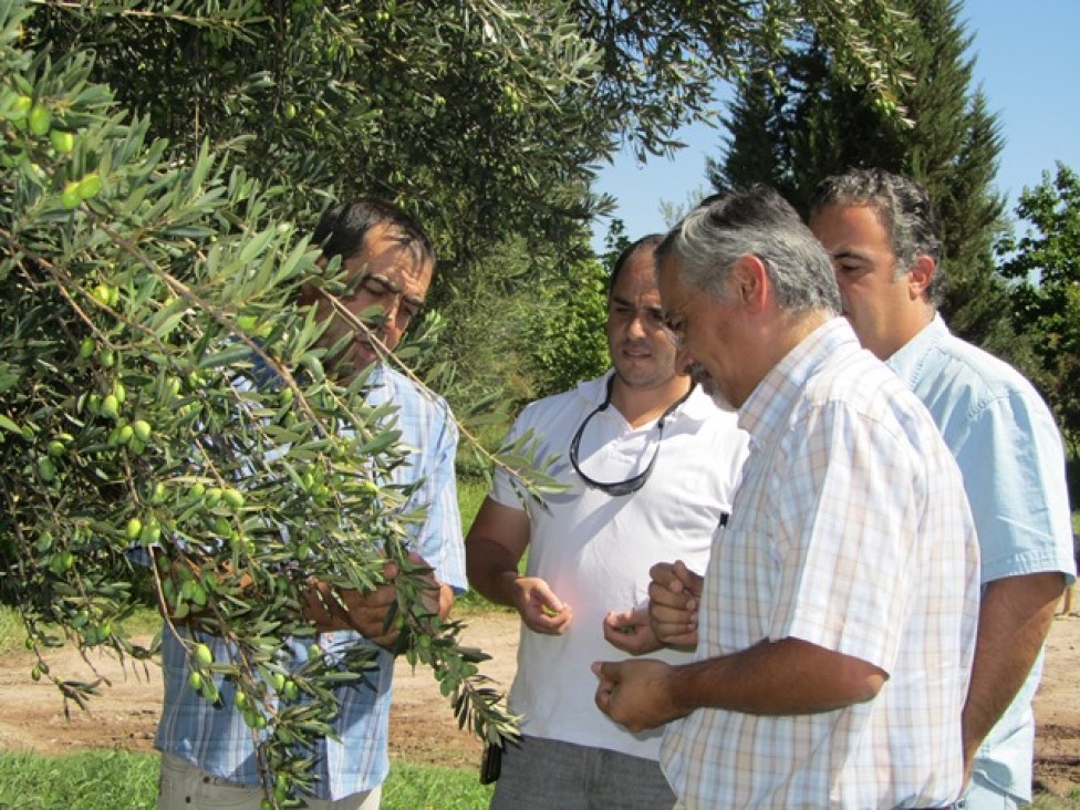 imagen Proyecto de la UNCuyo presente en el Carrusel