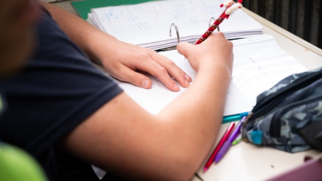 imagen Convocan a solicitar bonos de puntaje para la Escuela de Agricultura