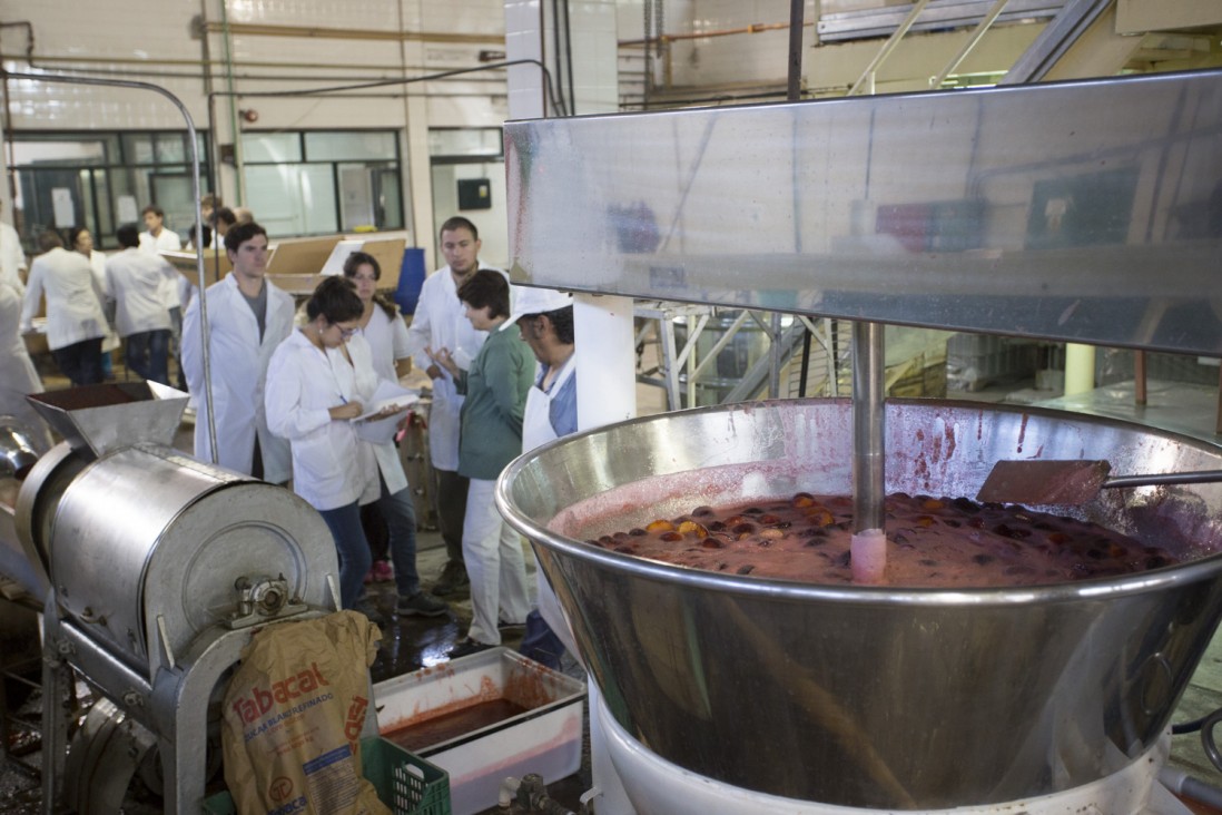 imagen Ingenieros de Agrarias explicarán instrumentos de calidad alimenticia