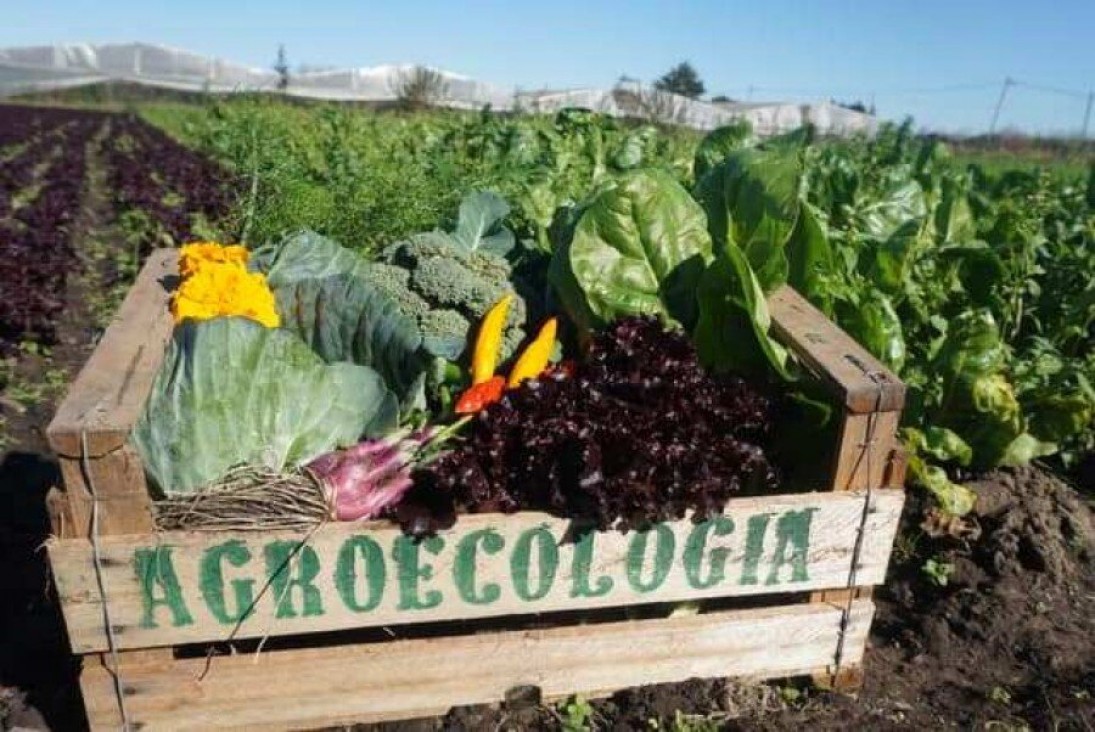 imagen Promueven prácticas agroecológicas en el sur mendocino