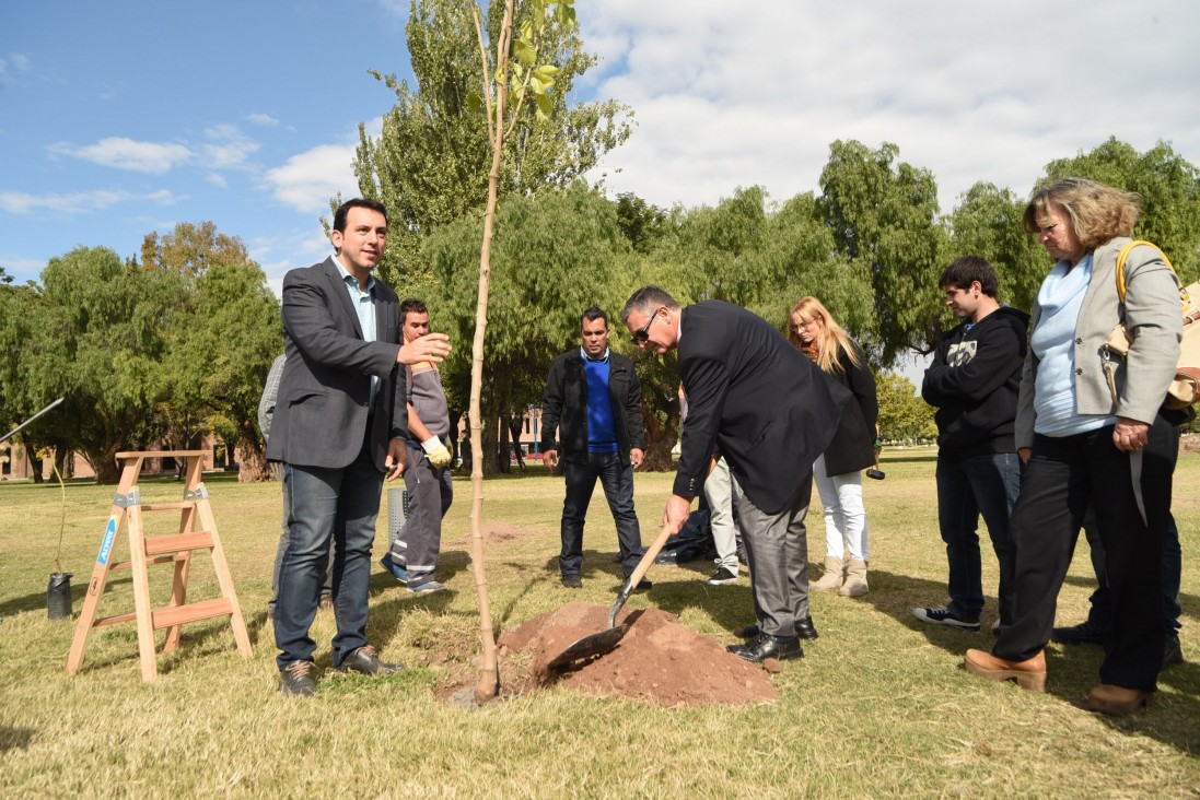 imagen La Universidad y Godoy Cruz encaran mejoras en el arbolado público